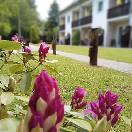 Gaestehaus Falkenhof Westensee Exterior photo
